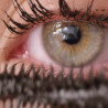 MASCARA BLACK WATERPROOF MASCARA BLACK WATERPROOF
